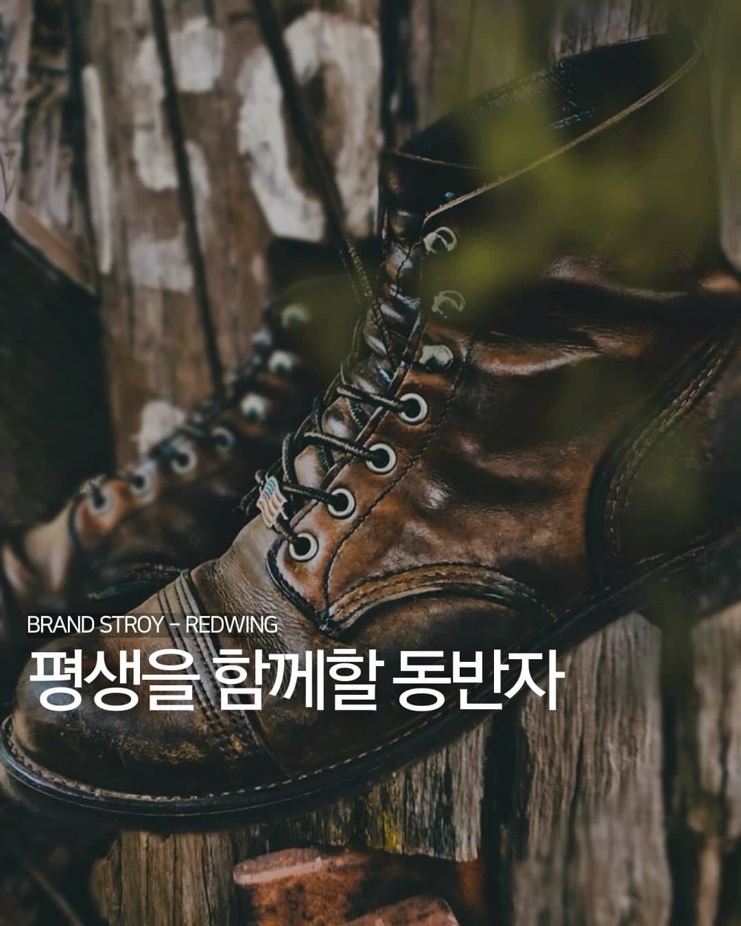 평생을 함께할 동반자