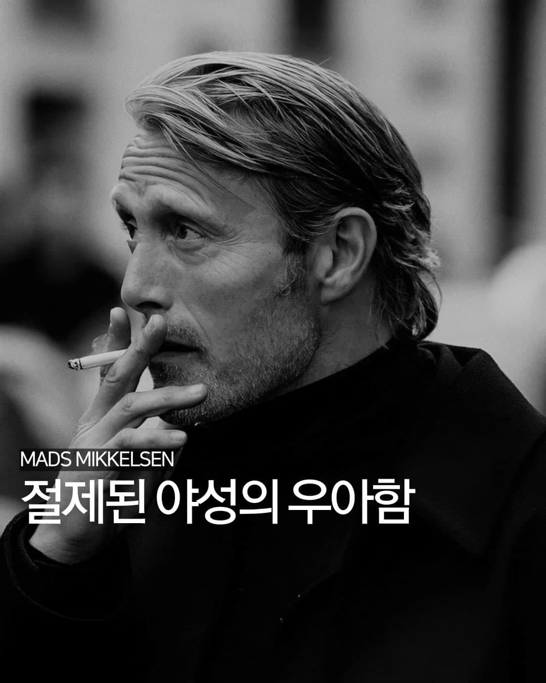 절제된 야성의 우아함